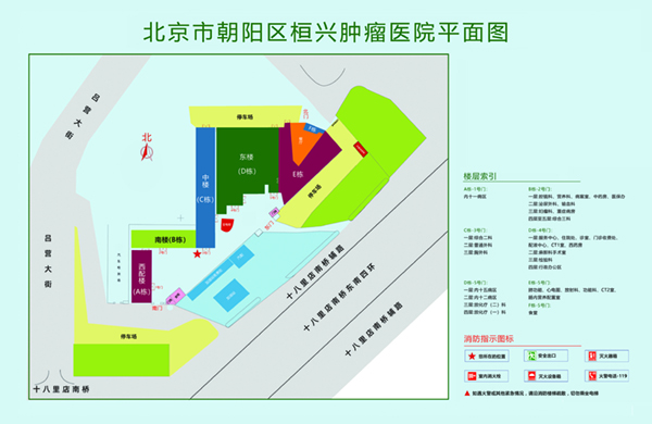 大黑鸡巴日屄抽插叫喊内射HD北京市朝阳区桓兴肿瘤医院平面图